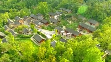 貴州盤(pán)州：&ldquo;世界古銀杏之鄉&rdquo;猶如童話(huà)世界