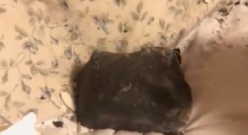 意外！人在家中睡 隕石天上來(lái)