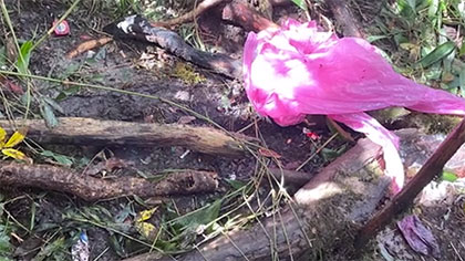 4名地質(zhì)工作人員在云南哀牢山失聯(lián)超一周：發(fā)現失聯(lián)人員雨衣