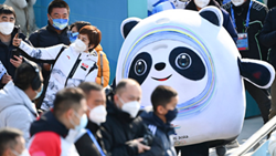 透過(guò)&ldquo;冰墩墩&rdquo;，感受可愛(ài)的中國