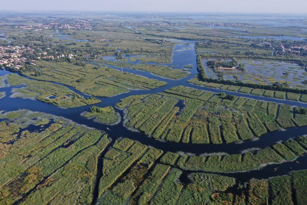 新華全媒+丨探訪(fǎng)雄安新區白洋淀&ldquo;鳥(niǎo)島&rdquo;