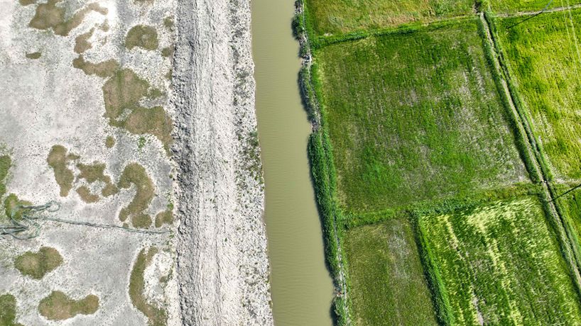 &ldquo;綠色治理&rdquo;使吉林46萬(wàn)畝鹽堿地變良田