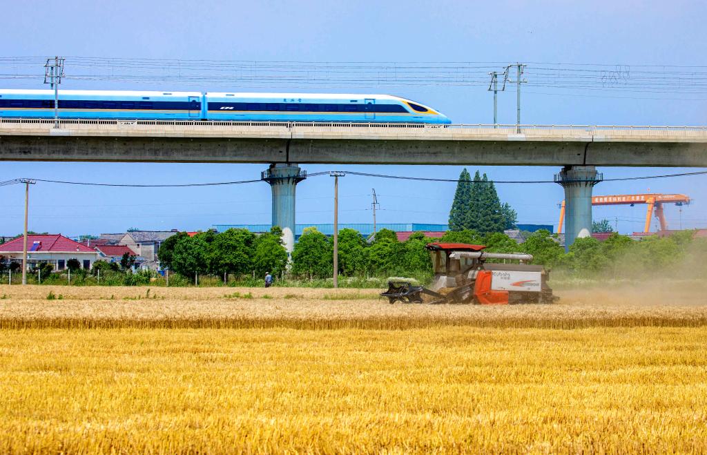 全國&ldquo;三夏&rdquo;麥收進(jìn)度過(guò)半